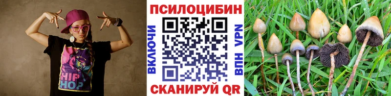 OMG   Орлов  Псилоцибиновые грибы Psilocybe  наркошоп 