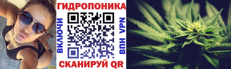 Конопля марихуана Орлов
